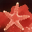 Free Fish Screensaver icon